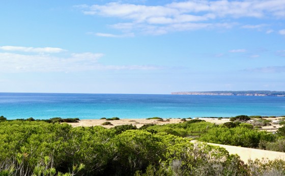 Astbury_Formentera_Playa_Migjorn_Casa_Sa_Playa_Tertulia19