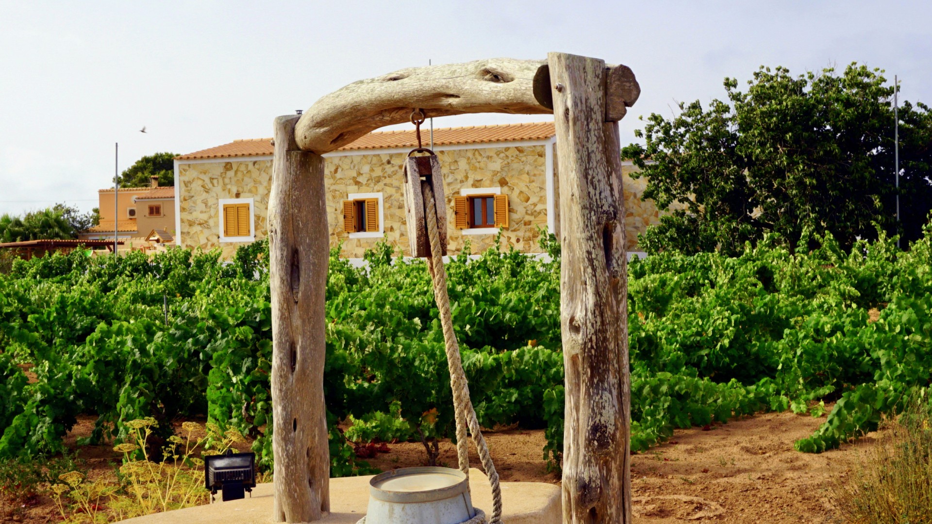 Astbury_Formentera_Playa_Migjorn_Casa_Can_Pep9
