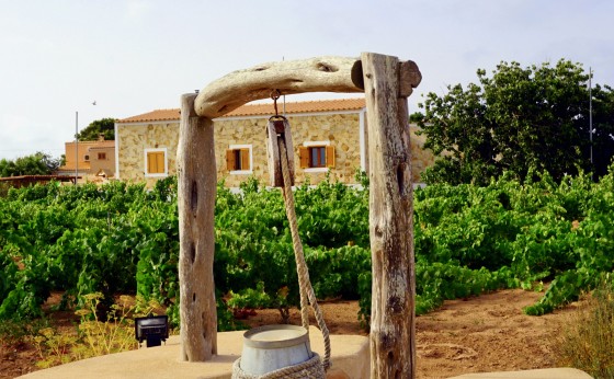 Astbury_Formentera_Playa_Migjorn_Casa_Can_Pep9