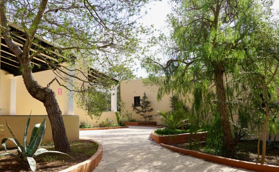 CanMiguelMarti2bedroombungalowFormentera27
