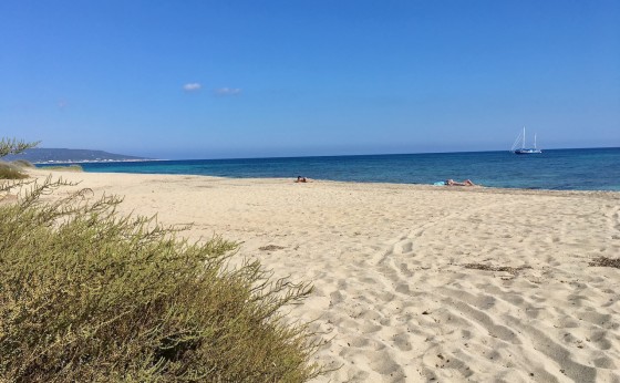 CanMiguelMartibungalowsAstburyFormentera13