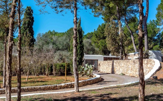 VillaSaTancaEivillas-96