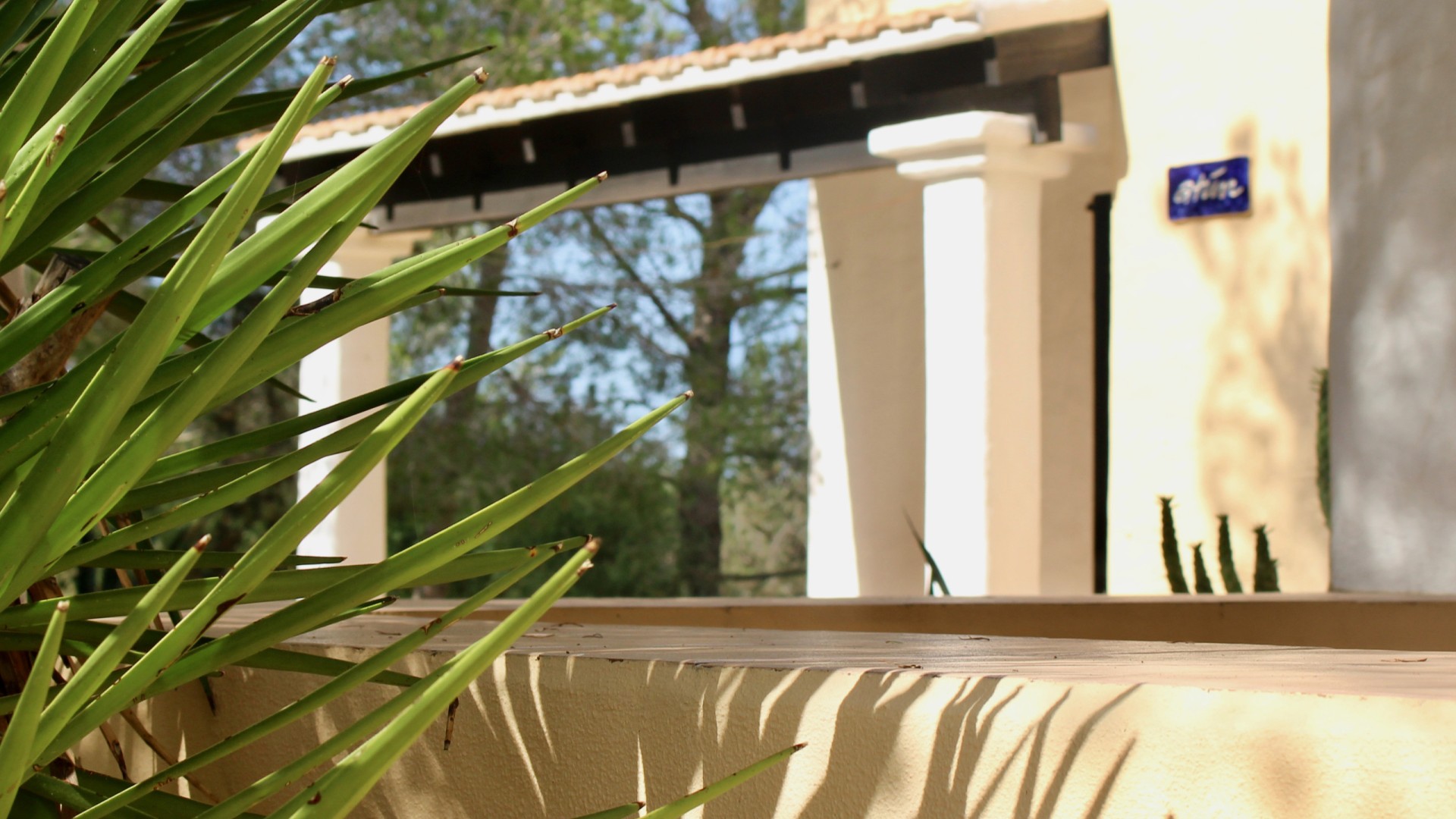 CanMiguelMarti1bedroombungalowsAstburyFormentera1