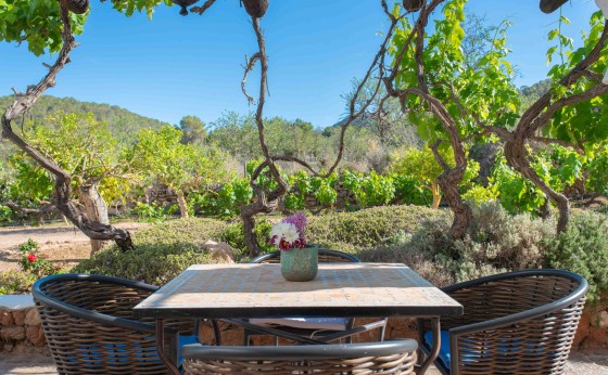 VillaShantyEivillas-76