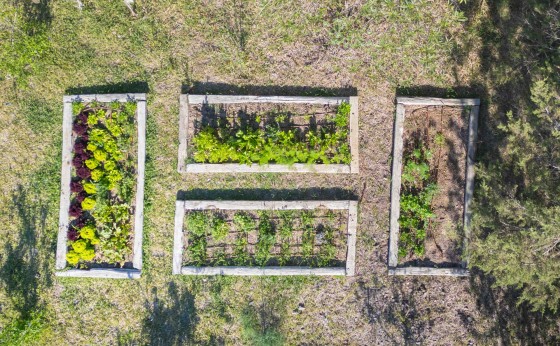 VillaShantyEivillas-97