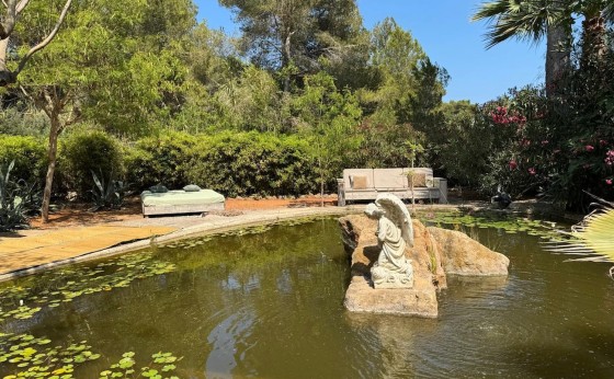 EF9D4161-C956-43C4-AB55-BE0D88EDB339_1_105_c