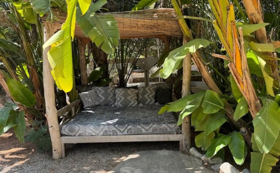 FB55093E-DB02-4C8C-BBE1-0DD877FCA8A6_1_105_c