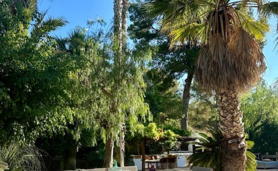 74A0A41C-5A3A-4853-9E62-4D3243A73EC5