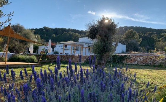 imgi_241_69384e92-ecf5-48f5-b4ca-f0762e016047