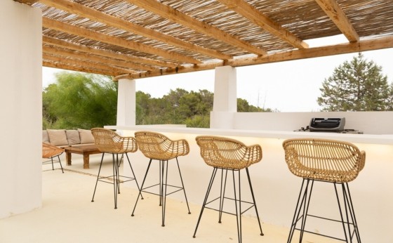 imgi_251_f1e938d2-7a08-4a35-8bd3-28c6f76e51e0