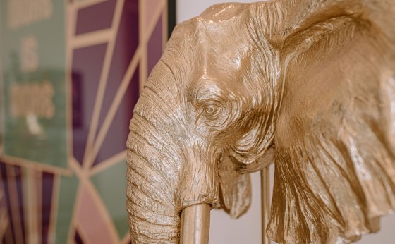 ibizarealestatephotography-0340