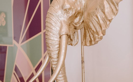 ibizarealestatephotography-0339