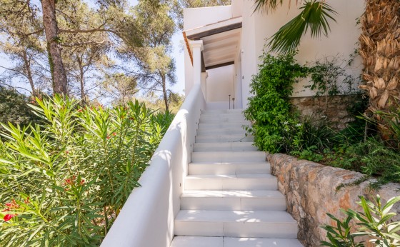 20230608155512000000_Ibiza-wedding-photographer-tamas-2026