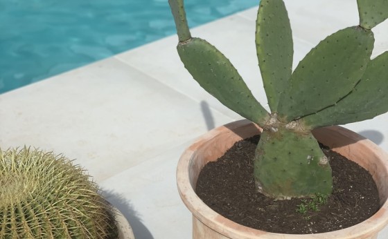 20240705140959000000_IMG3992