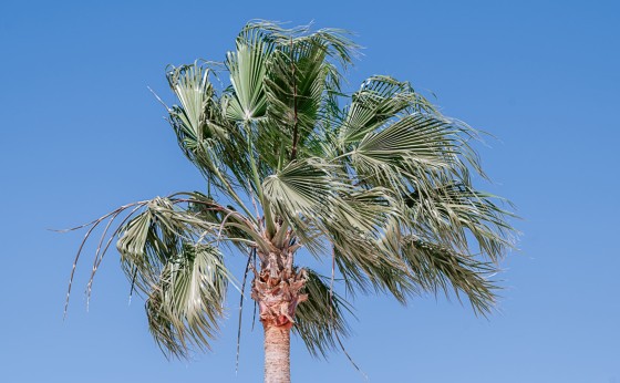 IbizaRealestatephotographerTamas-7459