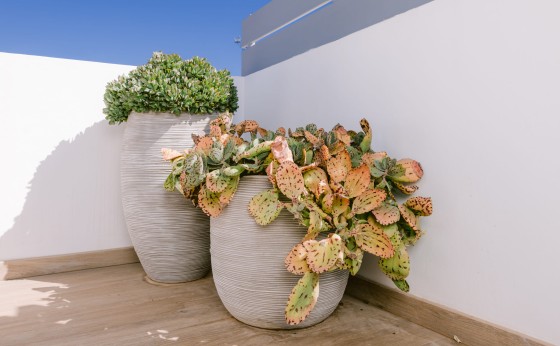 IbizaLifestylephotographer-2516