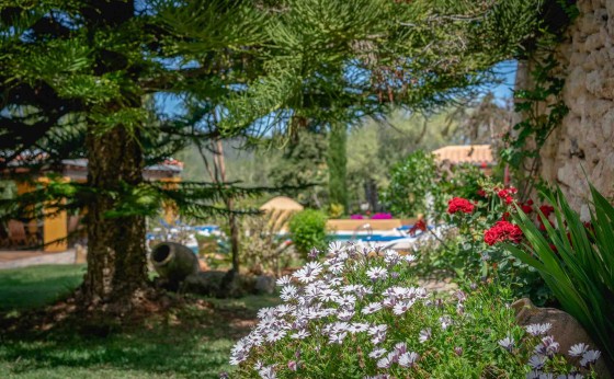 JuanVichI-Eivillas