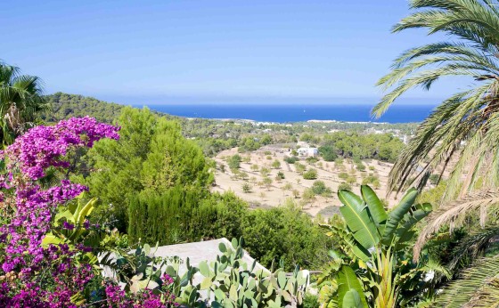 Vistas al mar desde la terraza