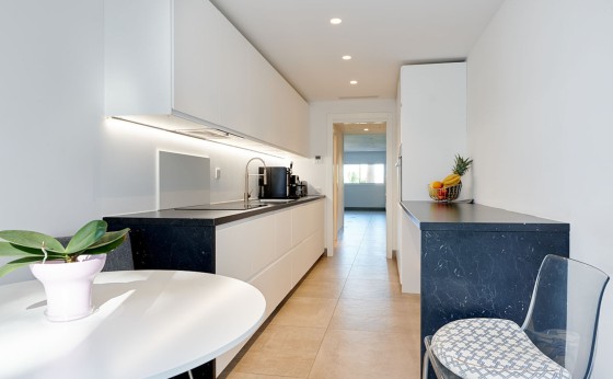VillaMiami-Eivillas