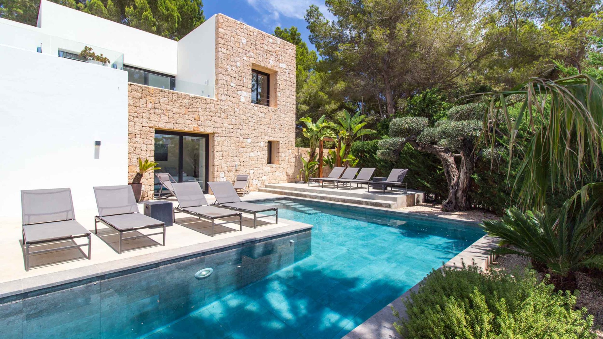 Pool at Villa Higueras surrounded by palm trees – Eivillas
