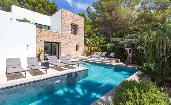 Pool at Villa Higueras surrounded by palm trees – Eivillas