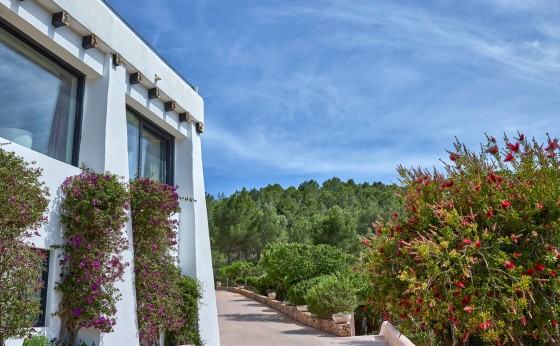 Can-Geco-49-Ibiza-2024-Villaoutdoor