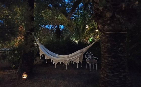 Nconnect-IbizaCanAngel034