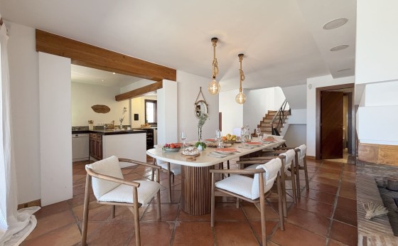 Nconnect-ibizaCanPaola015
