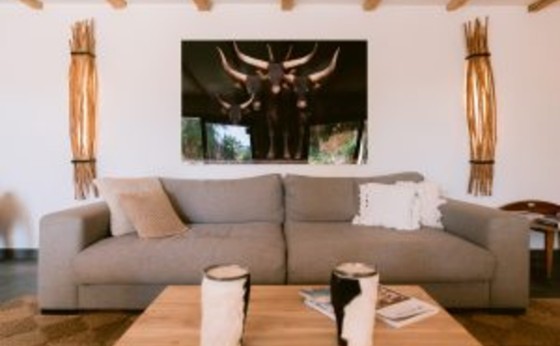 20231114154551000000_Ibiza-real-estate-photographer-Tamas-9589-300x200