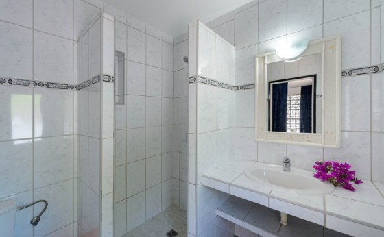 shower 2