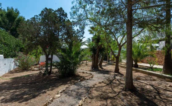 garden 1